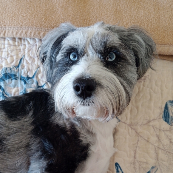 Meet your Posher, Lynn - Picture 6 of 6